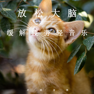 jizzjizzxxx女奥特曼jizzwwww
